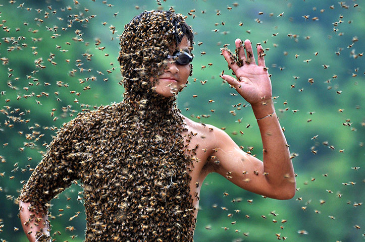24 hours: Shaoyang City, China: A beekeeper with bees over his body during a contest 