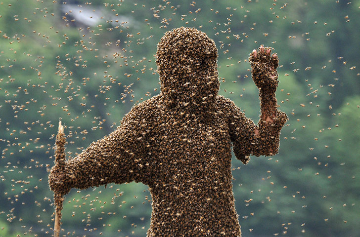 Bee Bearding in Hunan: Lu Kongjiang takes part in a bee bearding contest in Hunan