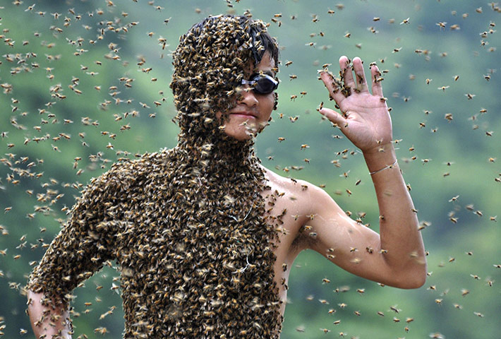 Bee Bearding in Hunan: Lv waves with at a bee bearding contest in Shaoyang China