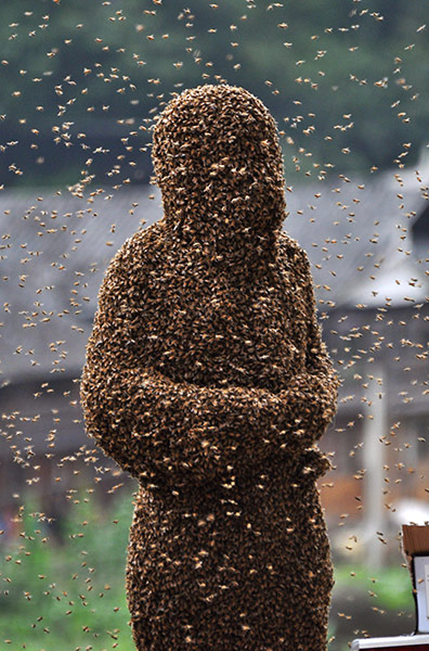 Bee Bearding in Hunan: Bees cover beekeeper Lu Kongjiang 'Bee Bearding' Contest In Hunan