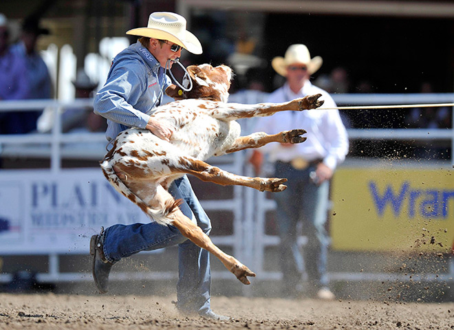 24 hours in pictures: Tuf Cooper flips a steer, Stampede rodeo finals in Calgary, Alberta