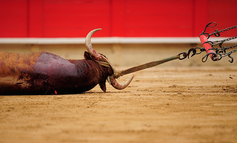 24 hours in pictures: A dead bull is dragged out of the bullring, Barcelona, Spain