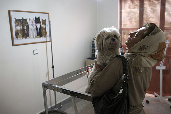 FTA: Behrouz Mehri: An Iranian woman speaks with her Terrier dog at a private pets' clinic 