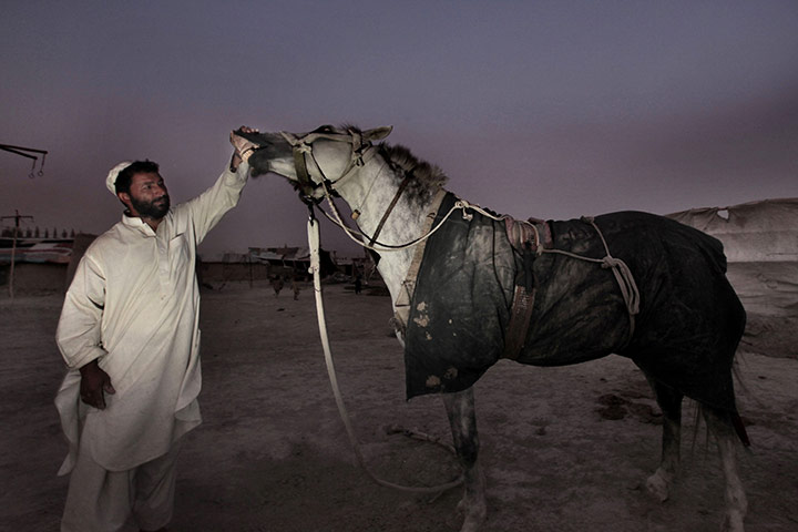24 hours in pictures: A man tends to his horse in Kabul