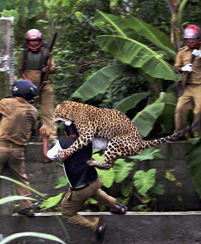 24 hours in pictures: A leopard attacks a forest guard in India