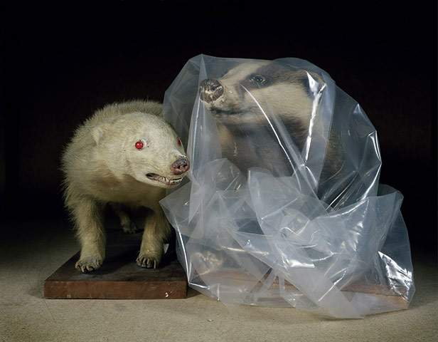 Exhbitionist2307: Darren Harvey-Regan