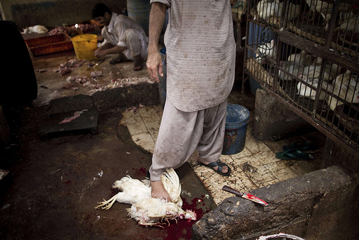 24 hours in pictures: A Pakistani butcher presses his foot onto a slaughtered chicken