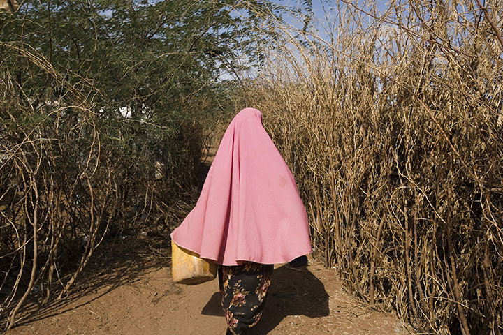 Dadaab: water collection