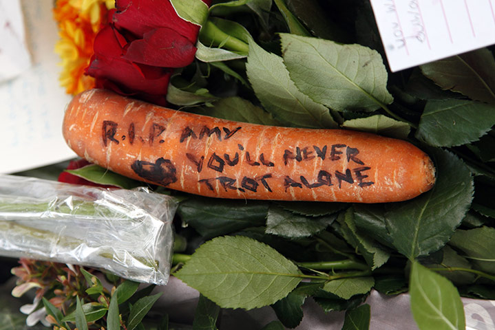 amy winehouse tributes: A carrot left by mourners in Camden Square