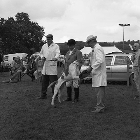 Country shows: Country Show2