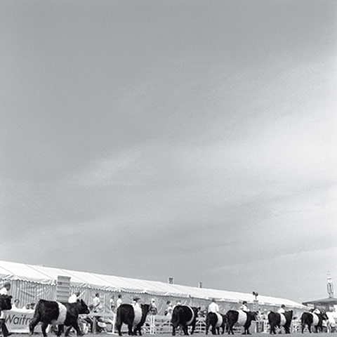 Country shows: Country show8