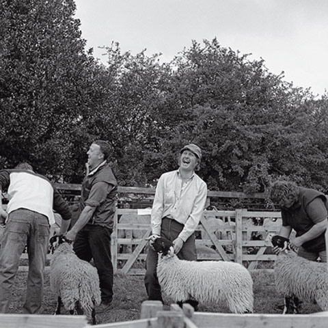 Country shows: Country Show10