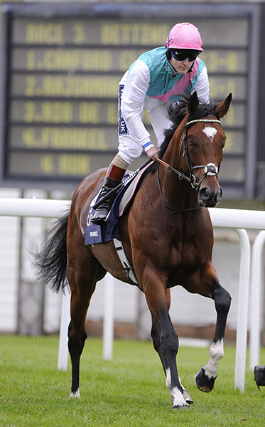 Glorious Goodwood : Frankel, ridden by Tom Queally, makes his way to the start