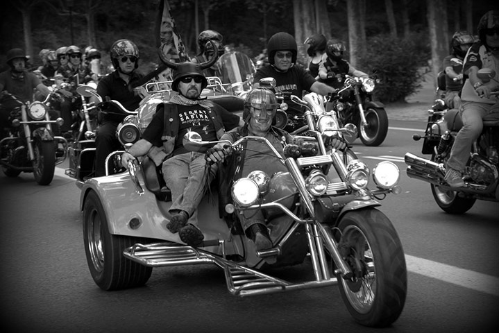 Guardian Camera Club: Gill Harle participates in the summer events assignment