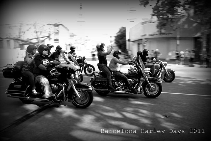 Guardian Camera Club: Gill Harle participates in the summer events assignment