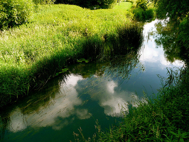 Green Shoots Summer: Scorpions and Centaurs summer