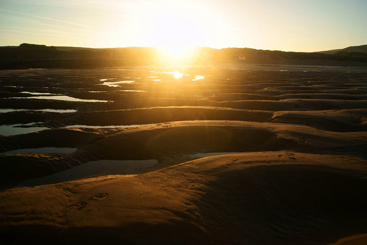 Green Shoots Summer: thills1988 summer