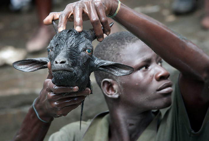 24 hours in pictures: Plaine du Nord Festival in Haiti