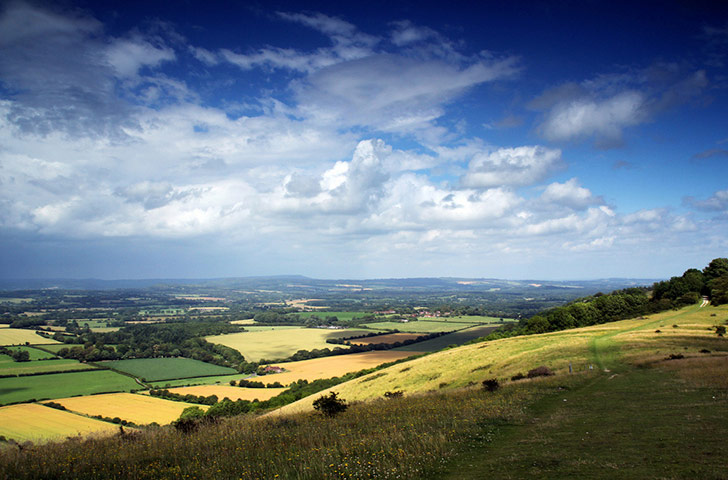 Green Shoots Summer: touie summer