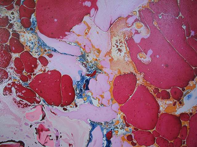 Exhibitionist 3007: Colin Williams