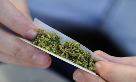 Cannabis