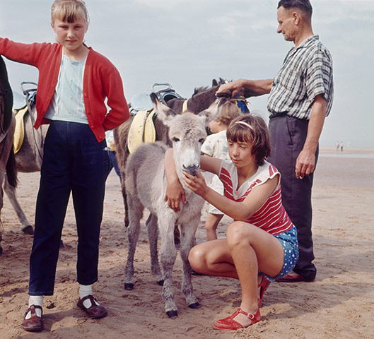 Blackpool: Girls at the donkey rides, 1963