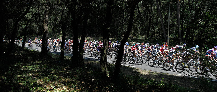 Tour de France stage 1: The peloton passes through a forest near the village of Brem sur Mer