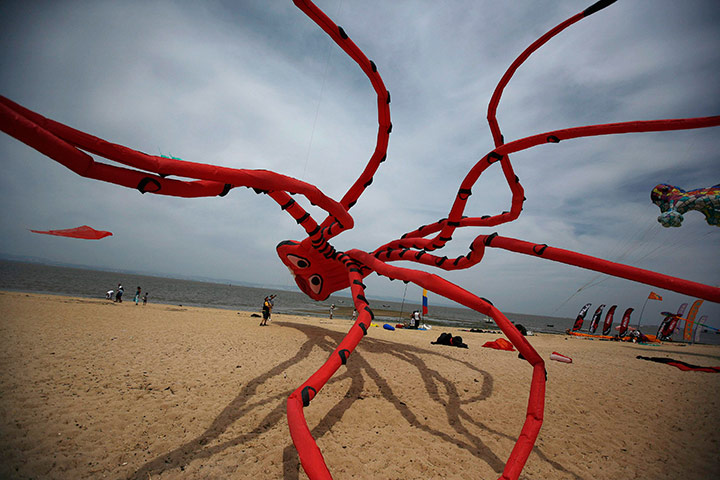 24 hours in pictures: A participant flies an octopus-shaped kite, Lisbon