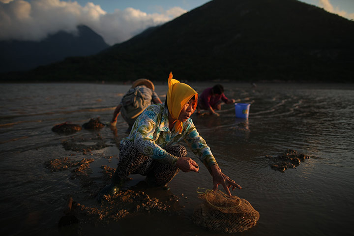 24 hours: Hong Kong, China: A woman fills a net with clams on Lantau island