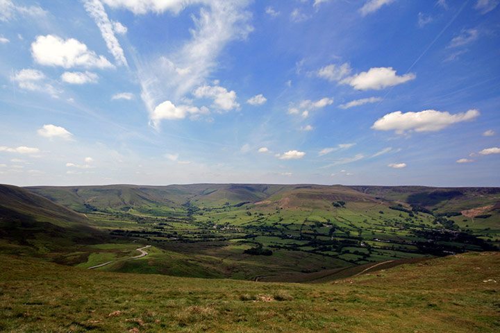Green shoots: on Meadow