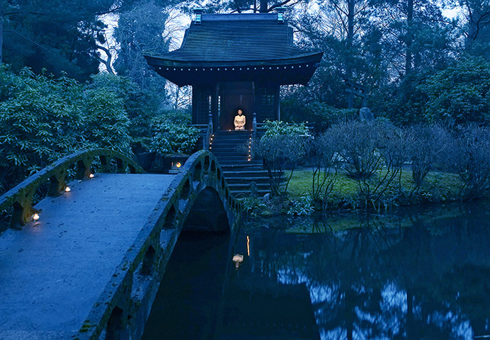 Petersaville: petersaville