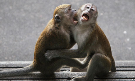 Shared services can lead to problems, says John Little.