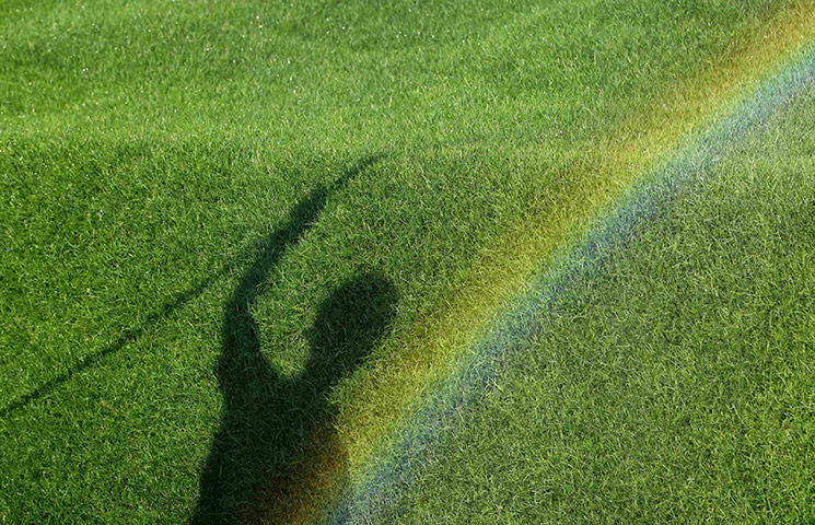Hampton Court flowers: A rainbow forms over the shadow of a garden designer
