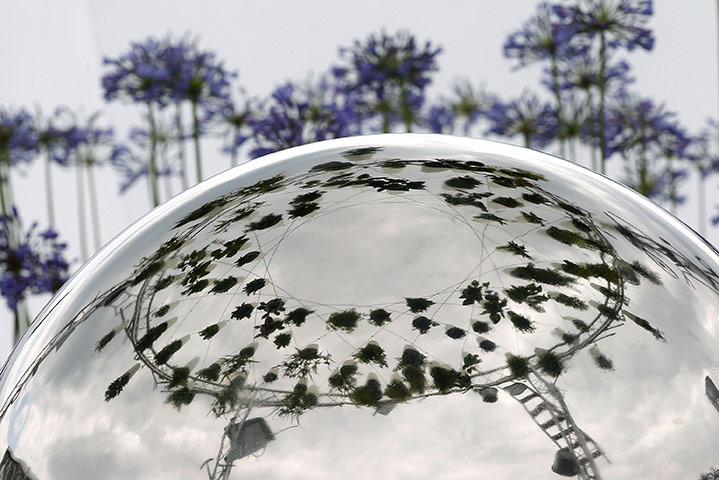 Hampton Court flowers: The Excuse Me While I Kiss the Sky garden conceptual garden 