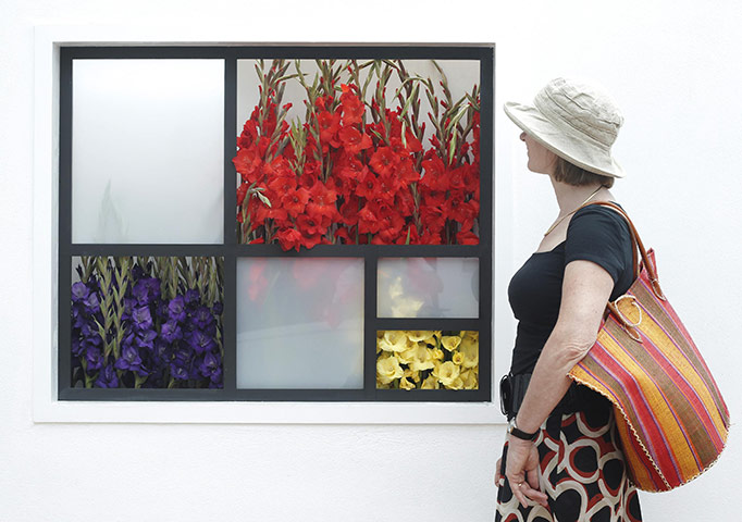 Hampton Court flowers: Gladioli artwork Composition 5: Colour for Colour's Sake, by Melissa Jolly