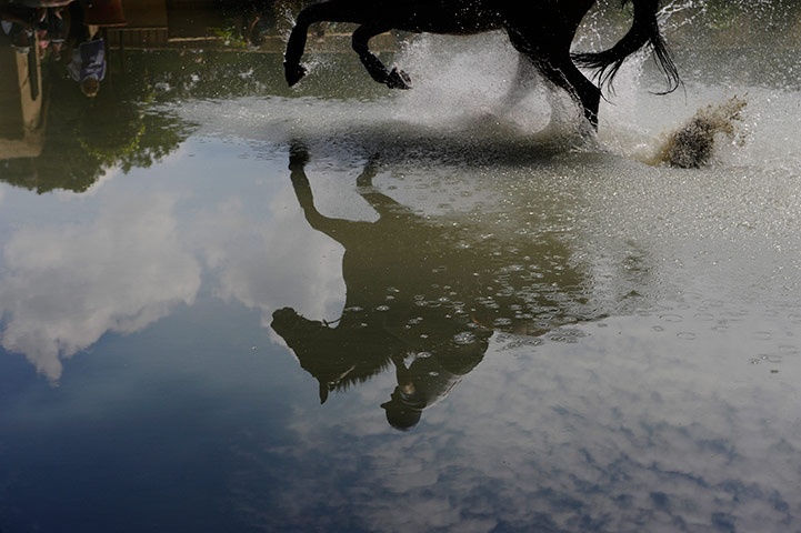 Eventing: Greenwich Park eventing