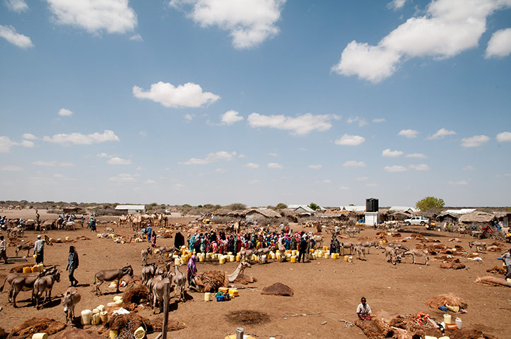 East Africa food crisis: drought and Somali refugees in Kenya