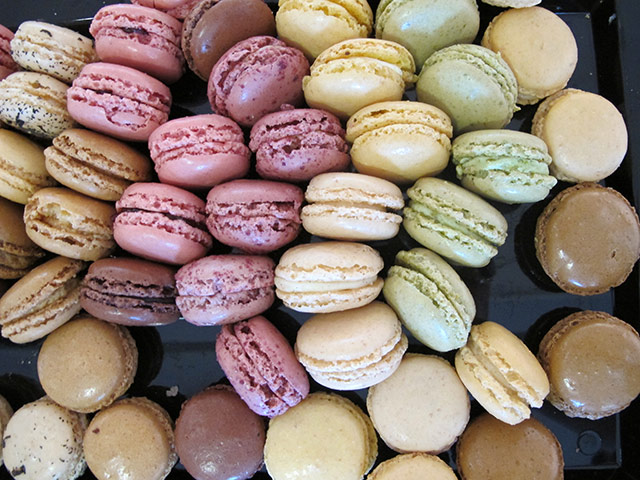 Sun- paris men's: Sun- paris men's