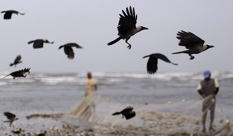 24 hours in pictures: karachi fishermen