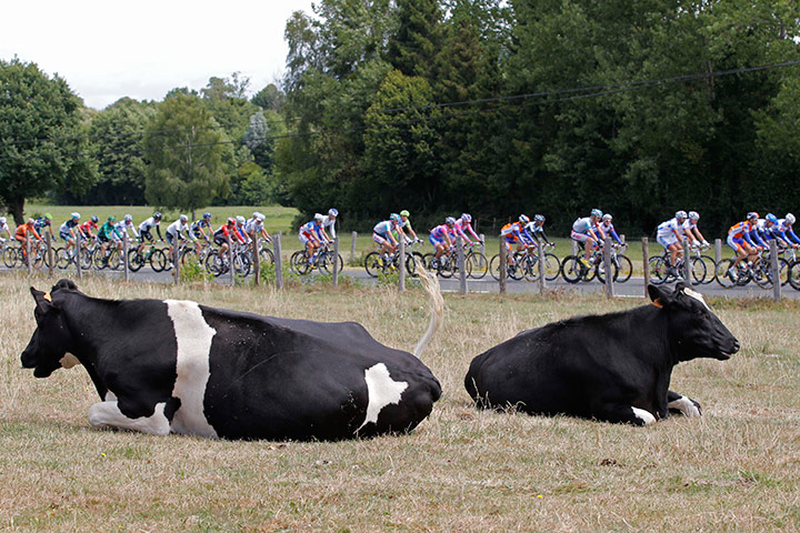 Tour de France: cycling