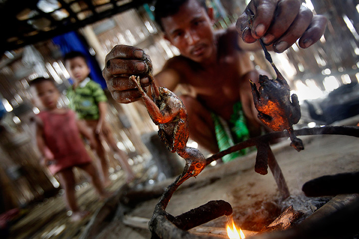 24 hours in pictures: A Mishing man smokes birds which he hunted from a paddy field