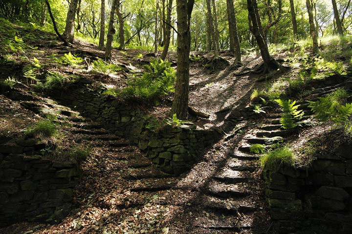 In pictures: split: Rivington Terrace Garden