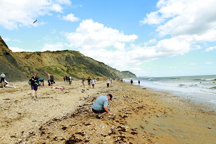 Jurassic Coast: Lyme Regis in Dorset, part of the Jurassic Coast World Heritage Site