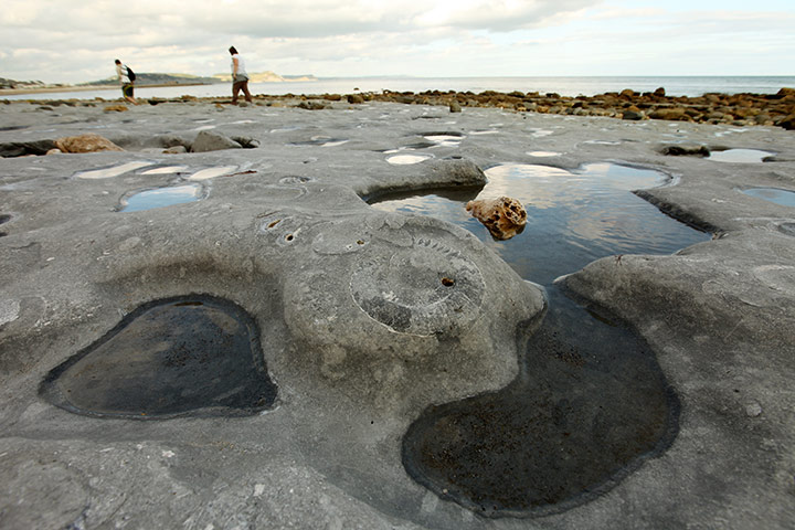Jurassic Coast: Lyme Regis in Dorset, part of the Jurassic Coast World Heritage Site