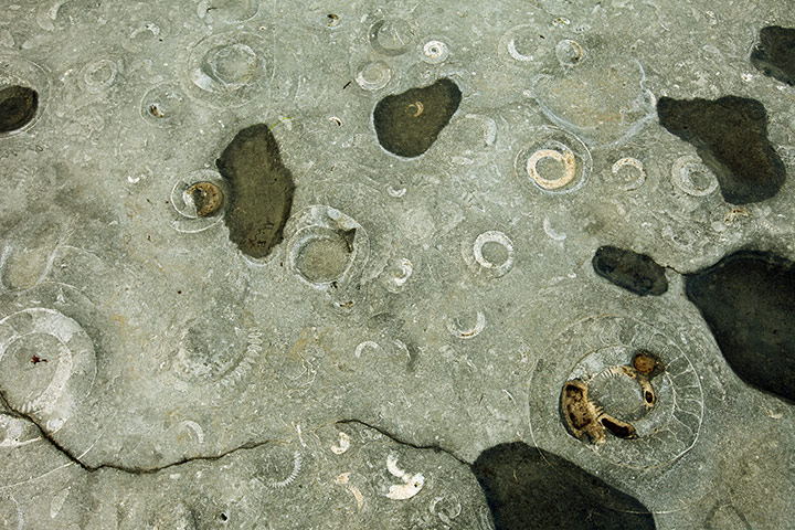 Jurassic Coast: Lyme Regis in Dorset, part of the Jurassic Coast World Heritage Site