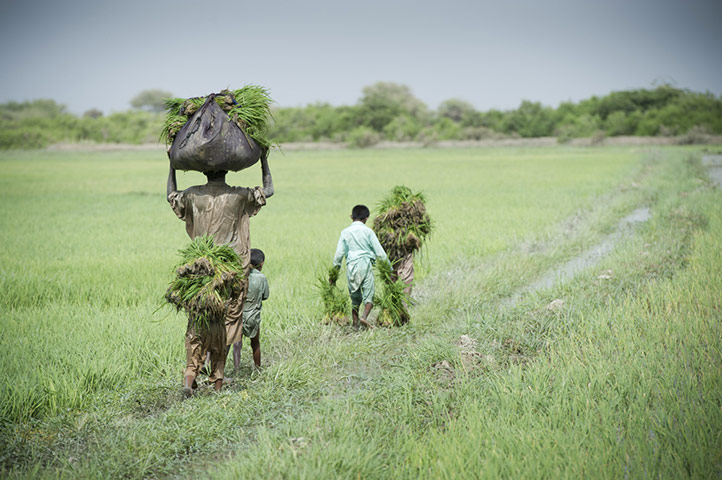 Pakistan: Tearfund aid work one year on from the 2010 flooding