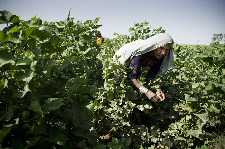 Pakistan: Tearfund aid work one year on from the 2010 flooding