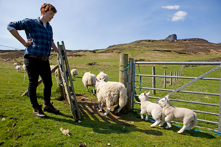 Sarah Boden: Sarah Boden lambing in the Hebrides