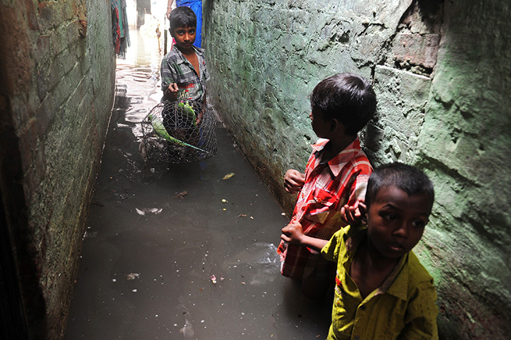 24 hours in pictures: A youth wades through floodwaters as he carries his pet parrot, India