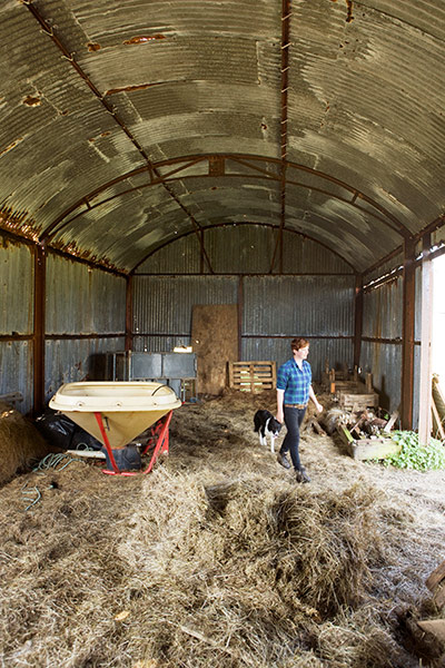 Sarah Boden: Sarah Boden lambing in the Hebrides